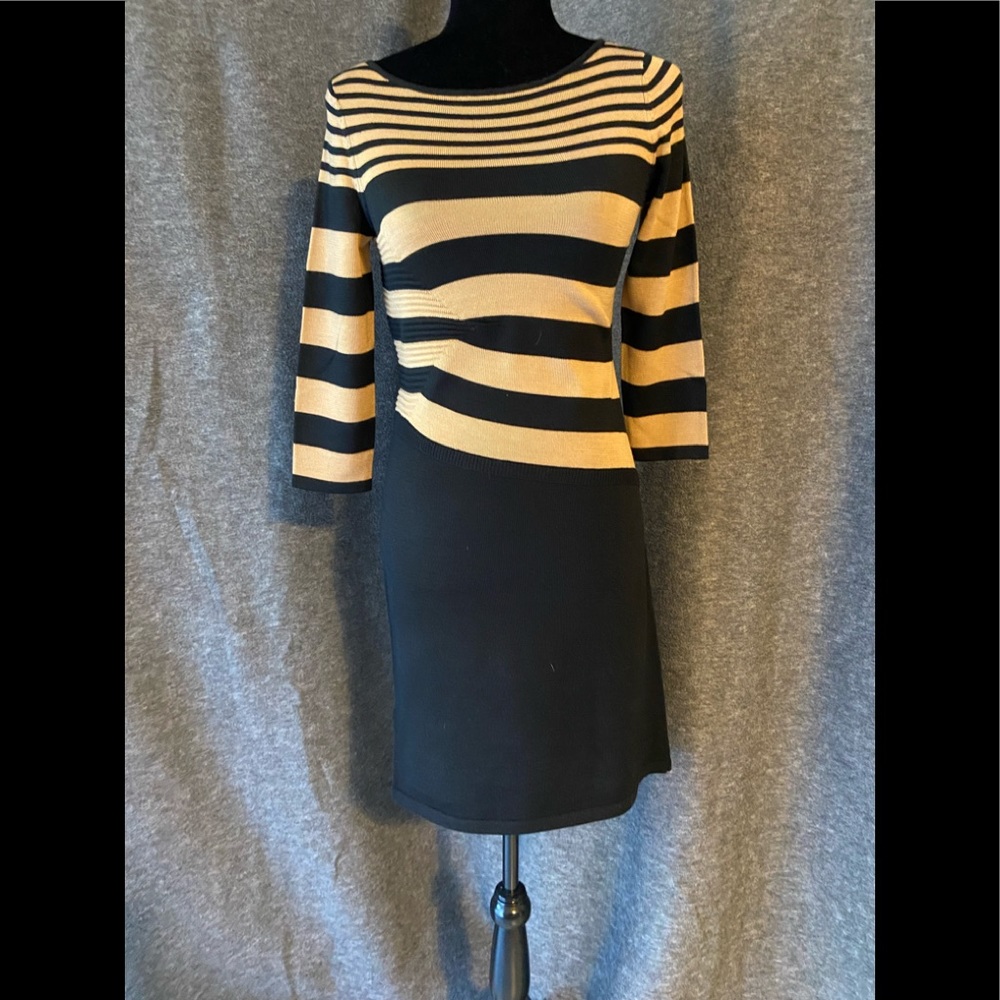 Ann Taylor Sweater Dress Size XSP
